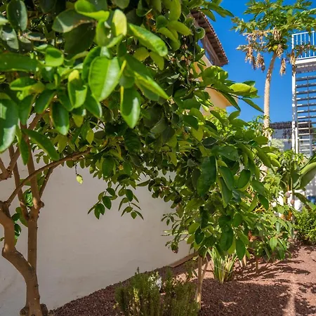 La Laja 5 Bedrooms, Rooftop Terrace Sea View Willa Callao Salvaje